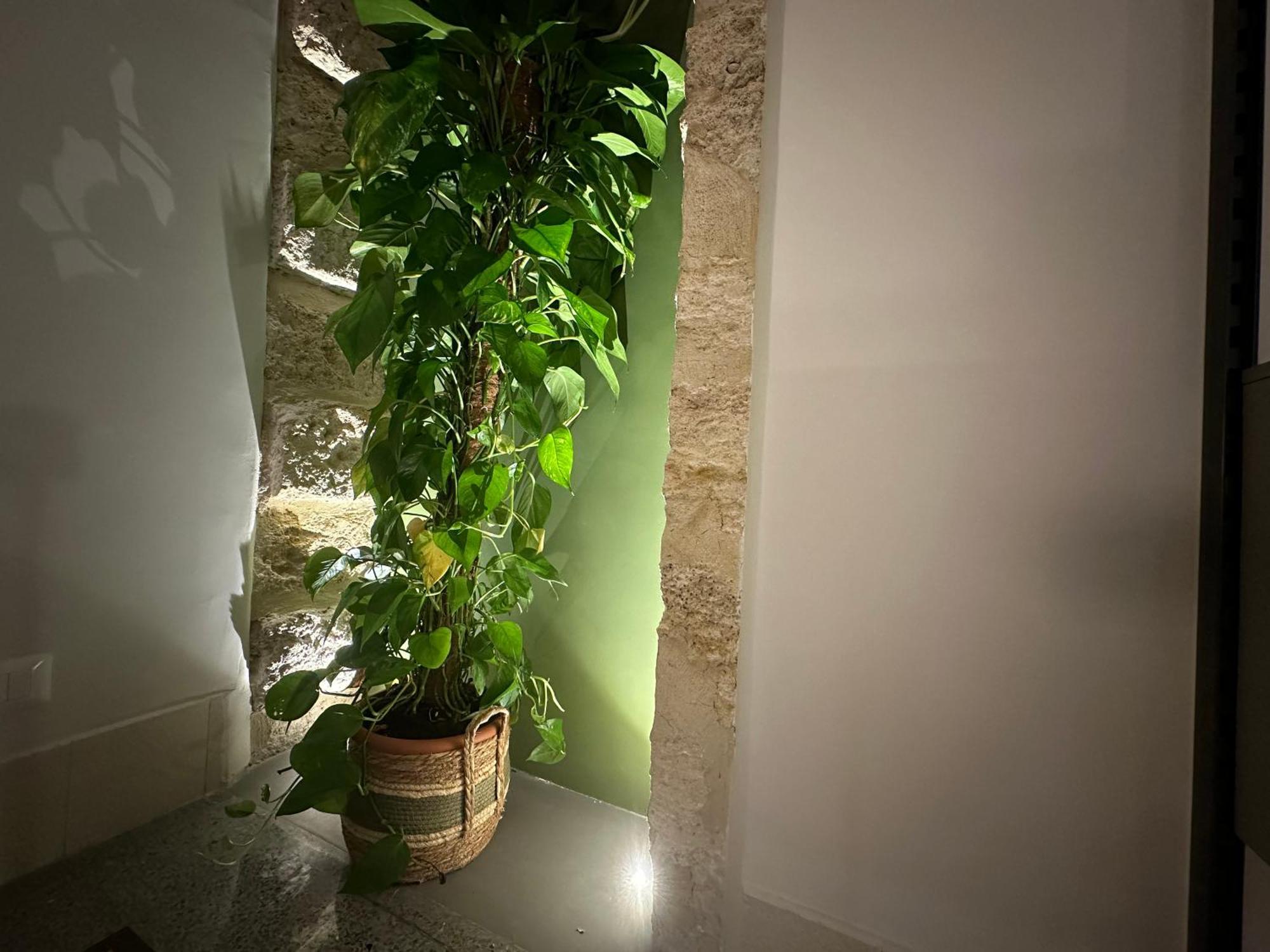 Zahir Suite Apartment Palermo Esterno foto